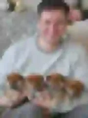 Dogsmith kennel. Shiba Inu puppies